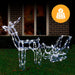 Solar LED Sleigh with Reindeer - 80 cm - Christmas Factory